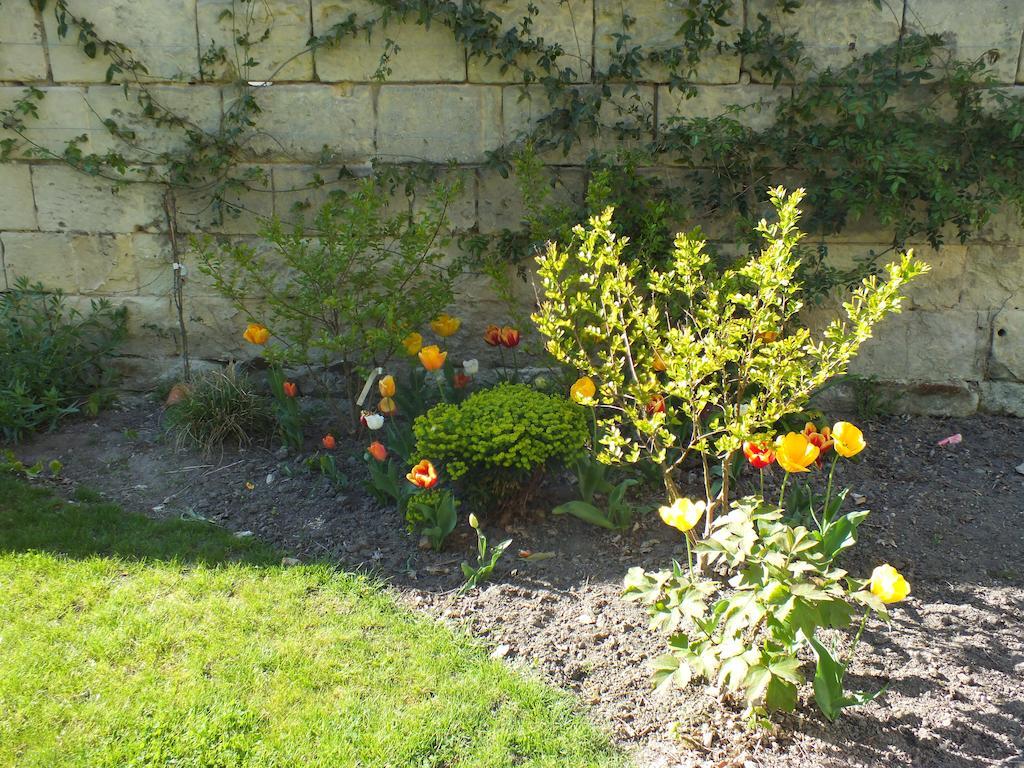 Bed and Breakfast A La Fleur De Lys Langeais Exterior foto